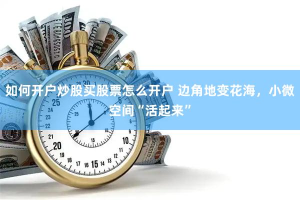 如何开户炒股买股票怎么开户 边角地变花海，小微空间“活起来”
